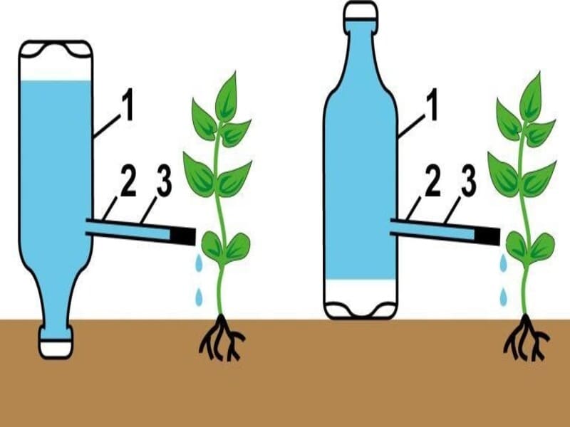 Как сделать капельный полив с помощью двух пластиковых бутылок
